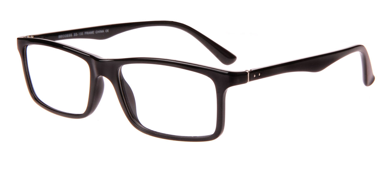 Success Collection 130 -Prisoner Eyewear - No metal core