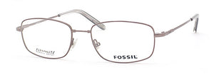 Fossil Collection Aron