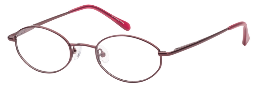 Safety Eyeglass Frame W-Side Shield  - SG 101