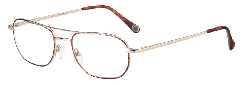 Safety Eyeglass Frame W-Side Shield  - SG 103