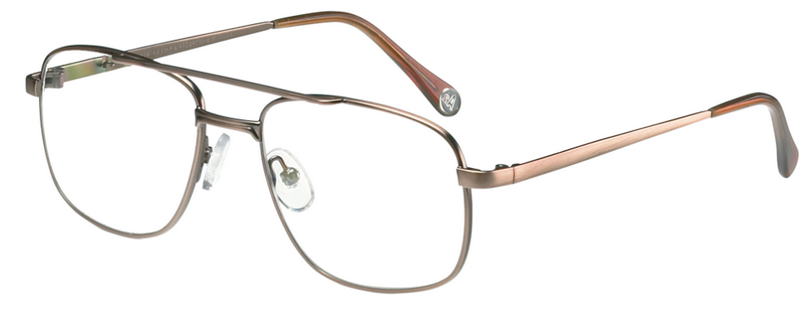 Safety Eyeglass Frame W-Side Shield  - SG 301